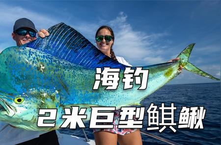 大西洋海域惊现巨型鲯鳅鱼！海钓爱好者轻松钓获