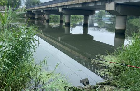 花费上万买鱼竿的经验分享：贵的不一定好，如何选购高性价比鱼竿？