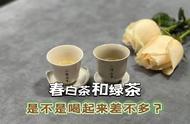 春白茶与绿茶：四点区分法，让你轻松分辨