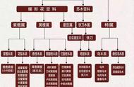 解密红木：商品名与学名背后的故事